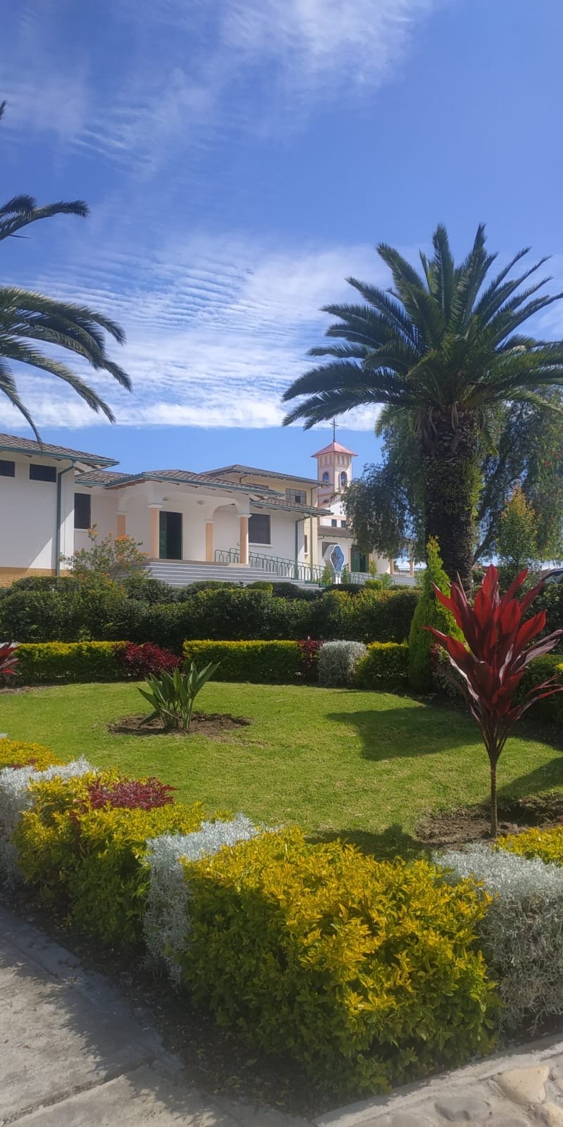 federacion san jose 4