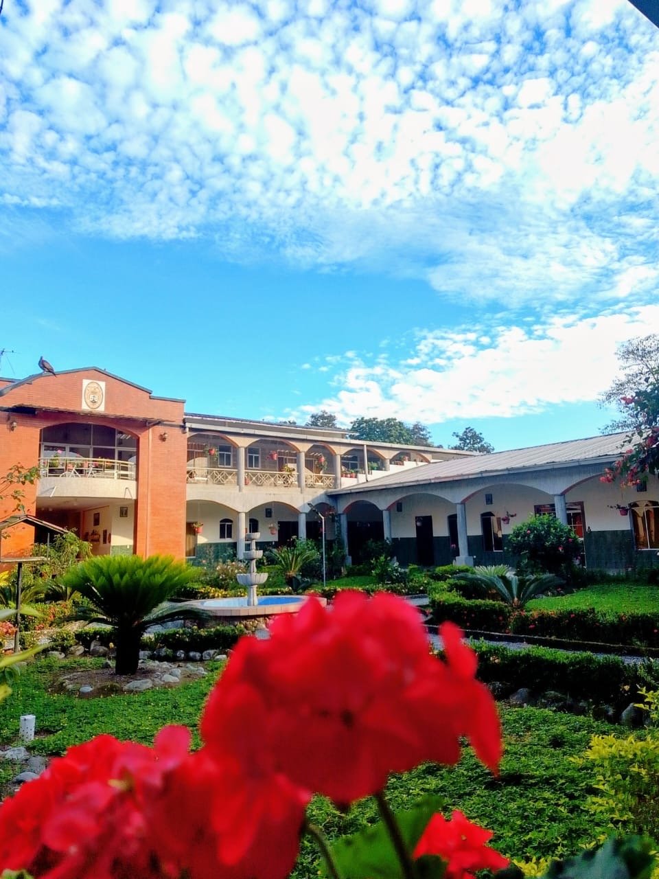 federacion san jose 5