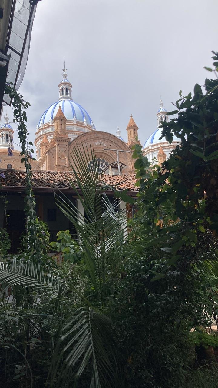 federacion san jose 7